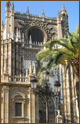 cath�drale de Sevilla